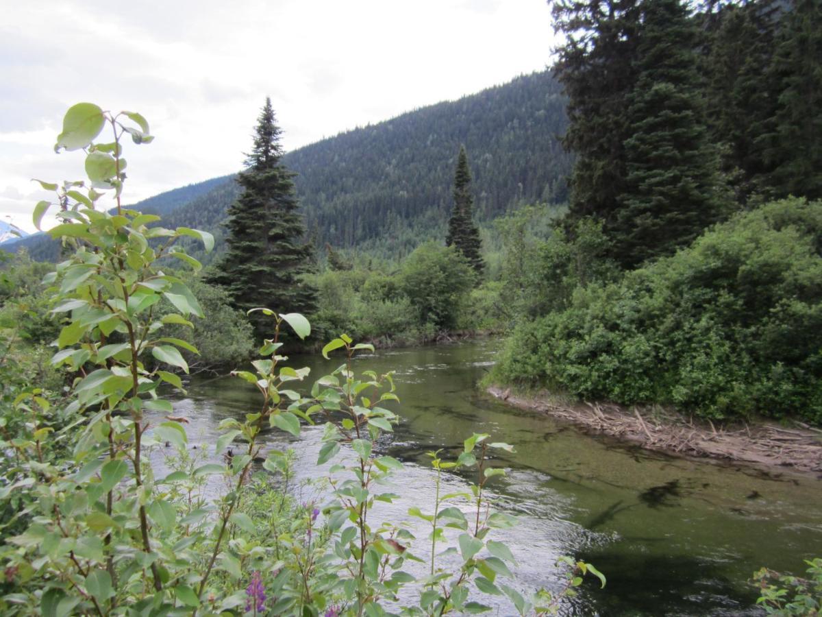 Summit River Lodge & Campsites Valemount Exterior photo